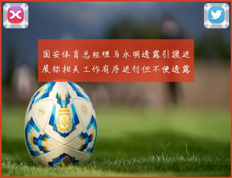 国安体育总经理马永明透露引援进展称相关工作有序进行但不便透露名字